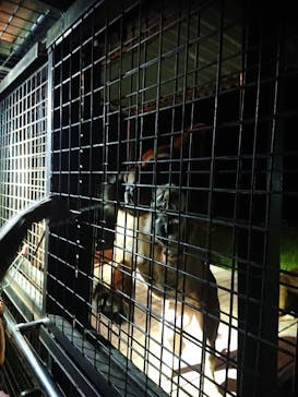 那須サファリパークに投稿された画像（2023/8/24）