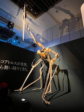 DinoScience 恐竜科学博 2023@TOKYO MIDTOWNに投稿された画像（2023/8/22）
