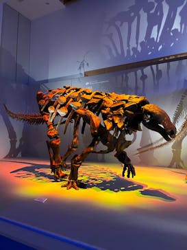 DinoScience 恐竜科学博 2023@TOKYO MIDTOWNに投稿された画像（2023/8/22）