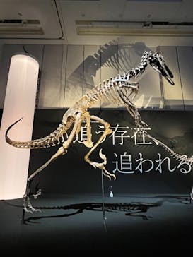 DinoScience 恐竜科学博 2023@TOKYO MIDTOWNに投稿された画像（2023/8/22）
