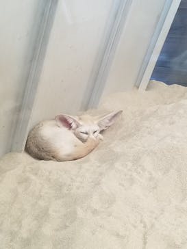 環境水族館アクアマリンふくしまに投稿された画像（2023/8/24）