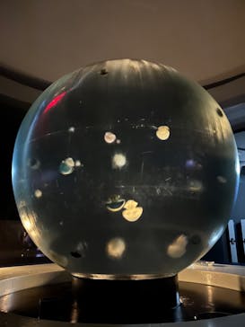 新江ノ島水族館に投稿された画像（2023/8/24）