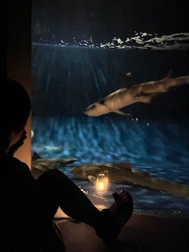 新江ノ島水族館に投稿された画像（2023/8/24）