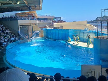 新江ノ島水族館に投稿された画像（2023/8/24）
