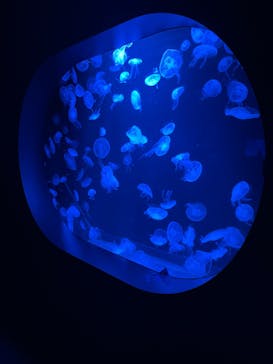 AOAO SAPPOROに投稿された画像（2023/8/24）