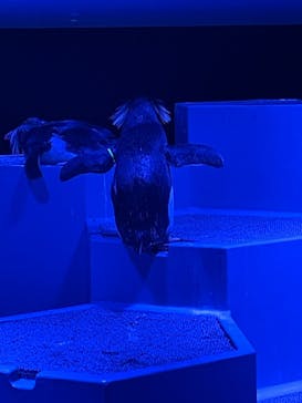 AOAO SAPPOROに投稿された画像（2023/8/24）