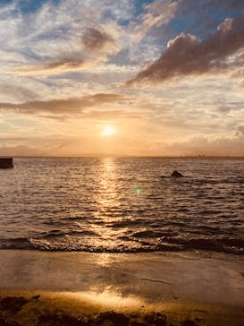 江の島シーキャンドルに投稿された画像（2023/8/24）