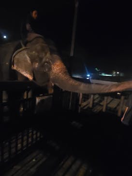 那須サファリパークに投稿された画像（2023/8/24）