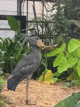 神戸どうぶつ王国に投稿された画像（2023/8/24）