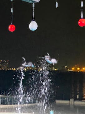 マリンワールド海の中道に投稿された画像（2023/8/24）