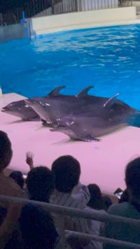 マリンワールド海の中道に投稿された画像（2023/8/24）
