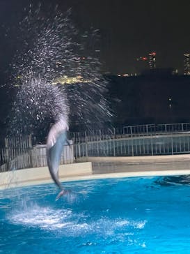 マリンワールド海の中道に投稿された画像（2023/8/24）