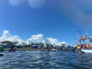 蓮沼ウォーターガーデンに投稿された画像（2023/8/24）