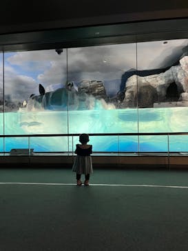 名古屋港水族館に投稿された画像（2023/8/24）
