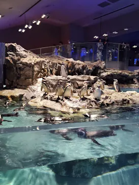 すみだ水族館に投稿された画像（2023/8/24）