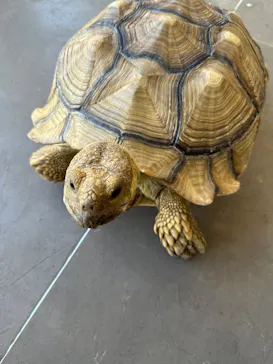 横浜・八景島シーパラダイスに投稿された画像（2023/8/24）