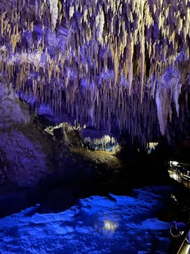 おきなわワールドに投稿された画像（2023/8/25）