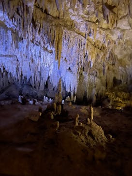 おきなわワールドに投稿された画像（2023/8/25）