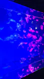 名古屋港水族館に投稿された画像（2023/8/25）