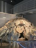 国立科学博物館に投稿された画像（2023/8/25）
