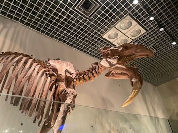 国立科学博物館に投稿された画像（2023/8/25）