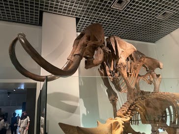 国立科学博物館に投稿された画像（2023/8/25）