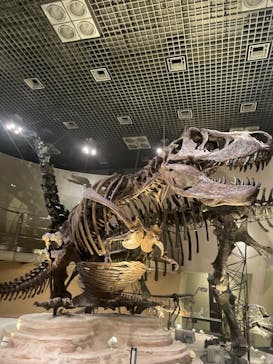 国立科学博物館に投稿された画像（2023/8/25）
