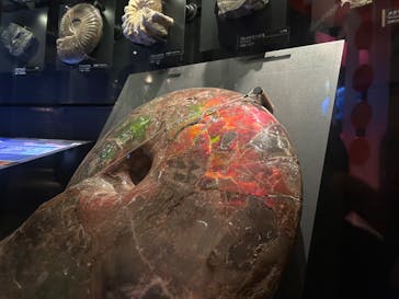 国立科学博物館に投稿された画像（2023/8/25）