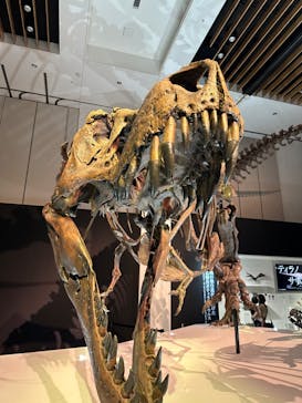 DinoScience 恐竜科学博 2023@TOKYO MIDTOWNに投稿された画像（2023/8/25）