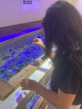 南知多ビーチランド＆南知多おもちゃ王国に投稿された画像（2023/8/25）