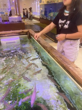 南知多ビーチランド＆南知多おもちゃ王国に投稿された画像（2023/8/25）