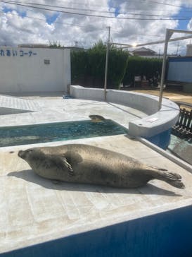 南知多ビーチランド＆南知多おもちゃ王国に投稿された画像（2023/8/25）