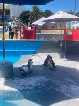 南知多ビーチランド＆南知多おもちゃ王国に投稿された画像（2023/8/25）