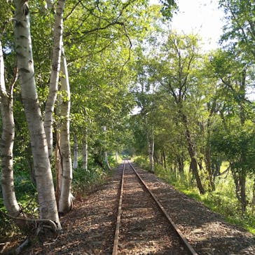 トロッコ王国美深に投稿された画像（2023/8/25）