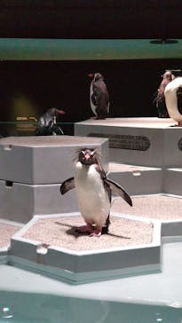 AOAO SAPPOROに投稿された画像（2023/8/25）