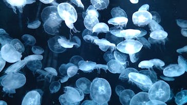 AOAO SAPPOROに投稿された画像（2023/8/25）