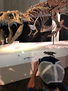 DinoScience 恐竜科学博 2023@TOKYO MIDTOWNに投稿された画像（2023/8/25）