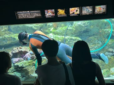 サンシャイン水族館に投稿された画像（2023/8/25）