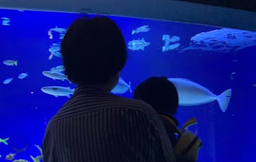 新江ノ島水族館に投稿された画像（2023/8/25）