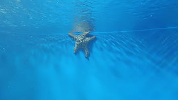 サンシャイン水族館に投稿された画像（2023/8/25）