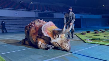 DINO SAFARI GIGANTに投稿された画像（2023/8/25）