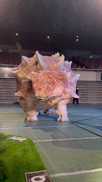 DINO SAFARI GIGANTに投稿された画像（2023/8/25）