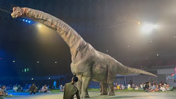 DINO SAFARI GIGANTに投稿された画像（2023/8/25）