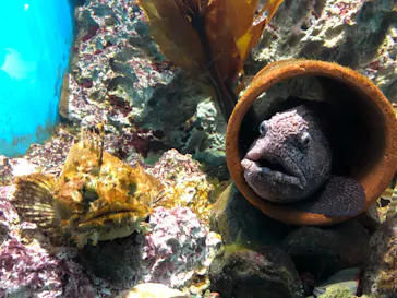 仙台うみの杜水族館に投稿された画像（2023/8/25）