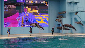 横浜・八景島シーパラダイスに投稿された画像（2023/8/25）