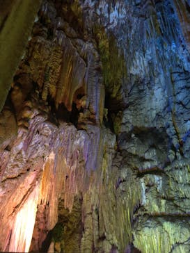 あぶくま洞に投稿された画像（2023/8/25）