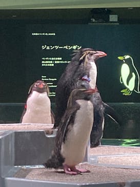 AOAO SAPPOROに投稿された画像（2023/8/25）