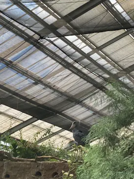 神戸どうぶつ王国に投稿された画像（2023/8/25）