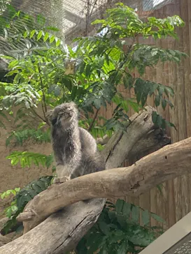 神戸どうぶつ王国に投稿された画像（2023/8/25）