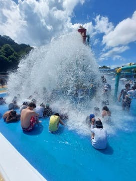 日本モンキーパークに投稿された画像（2023/8/25）
